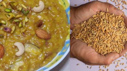 Maharashtrian Style Gavachi Kheer or Wheat Kheer Note The Recipe And Try Ones At Home