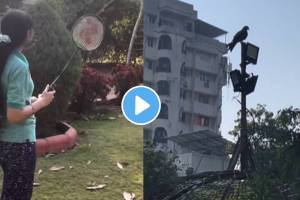 Viral Video Young people Playing badminton with an eagle shocks netizens Human vs eagle