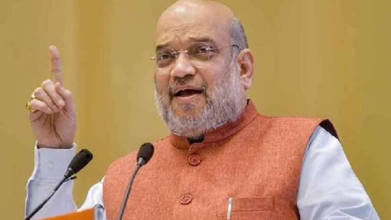 Amit Shah Investment: अमित शाह यांच्याकडे कुठल्या कंपनीचे किती शेअर्स आहेत माहीत आहे?