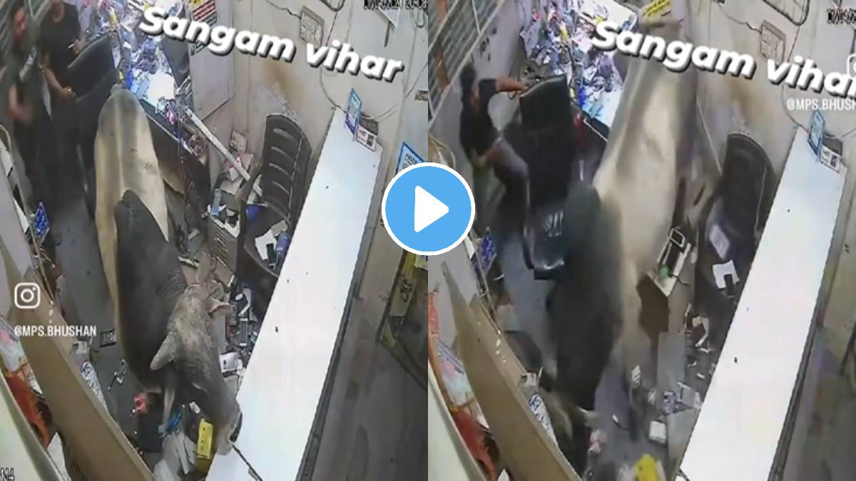 CCTV Captures Animal bull Barging Into Mobile Repair Shop Watch Viral video employees are at work