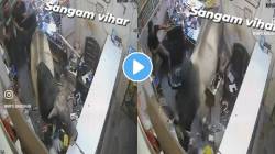 धक्कदायक! संतापलेला बैल थेट शिरला दुकानात अन् उध्वस्त केलं सामान… पाहा VIDEO