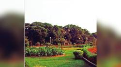 मुंबई : १२ उद्यानांचा गैरवापर होत असताना पालिकेची डोळेझाक