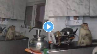 viral video monkey trying to drink water from purifier on a kitchen counter seeking relief from its thirst