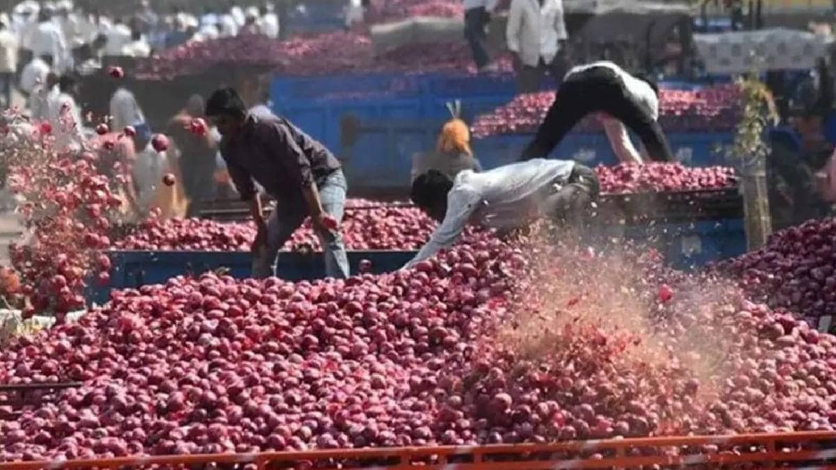 Onion Export farmers