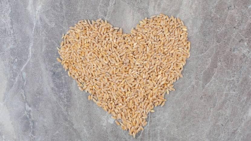100 gram wheat a nutritional powerhouse offering a host of health benefits to those who include it in their diet