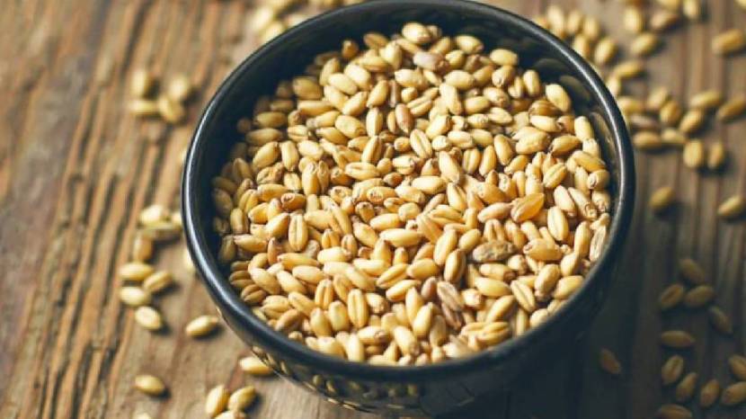 100 gram wheat a nutritional powerhouse offering a host of health benefits to those who include it in their diet 