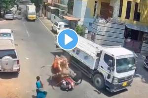 Bengaluru Bull Attack Video