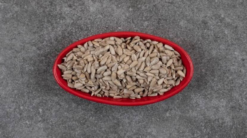 Poppy Seeds Benefits