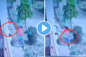 Madhya Pradesh Chaddi Chor Gang caught Theft stealing womens lingerie from balcony cctv clip goes viral