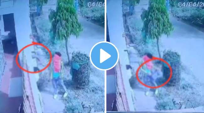 Madhya Pradesh Chaddi Chor Gang caught Theft stealing womens lingerie from balcony cctv clip goes viral