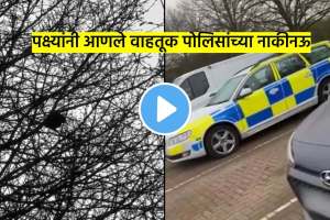 starling bird copying police vehicle siren sound and leaves police officers confused see viral video