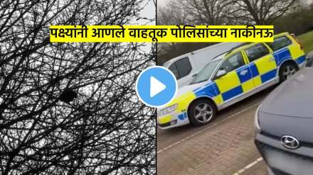 starling bird copying police vehicle siren sound and leaves police officers confused see viral video