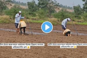 Son Of Farmer Placed To Job Pass Goverment Exam While Farming