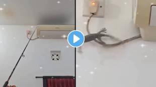 unique trick to catch lizard man caught lizard with fishing line Remedies