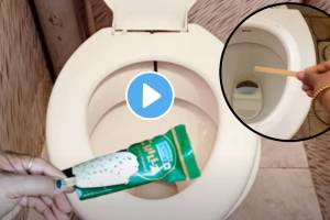 kitchen tips in marathi icecream stick in toilet cleaning tips