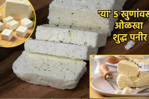 Five Signs Of Pure Paneer You Can Check Adulteration In One View look out