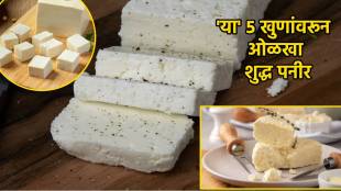 Five Signs Of Pure Paneer You Can Check Adulteration In One View look out