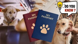 Pet Passport