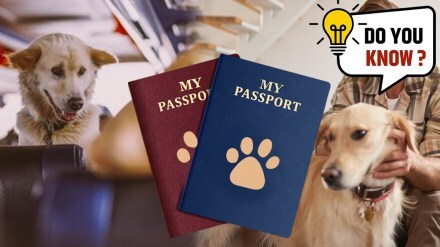 Pet Passport