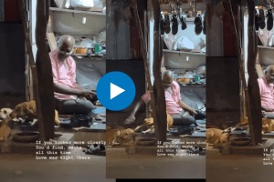 This video of an elderly cobbler and two stray dogs in Mumbai