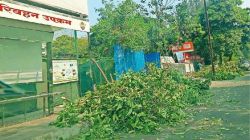 नवी मुंबई : वृक्षछाटणीच्या फांद्या रस्त्यावर, नवी मुंबई महापालिकेचे दुर्लक्ष; प्रवासी, नागरिक यांना अडथळा