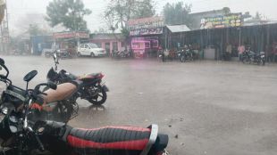 Unseasonal rain with lightning in Buldhana district