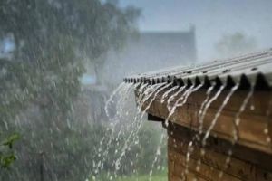 Unseasonal rain is expected in the state for the next week
