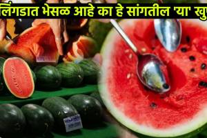 How to Identify Chemically Injected Watermelon FSSAI Suggestion
