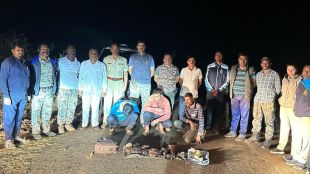 Four persons arrested in Mahabaleshwar for hunting Pisori deer