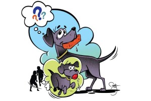 balmaifal, story for kids, story of dog and his names, pet dog, dog names, what is in name, dog love, dog story, marathi article, marathi story, marathi story for kids, loksatta balmaifal,