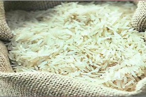 With restrictions on the export of non basmati rice the demand from the domestic market also declined Pune news