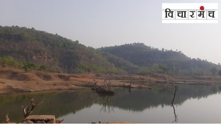 save hasdeo forest