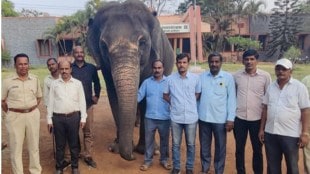 shedbal math elephant sangli marathi news