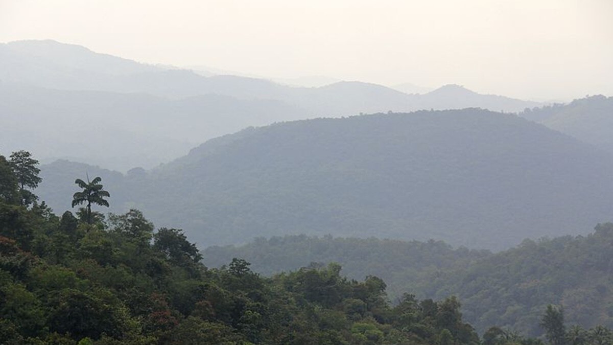 sawantwadi dodamarg wildlife corridor marathi news