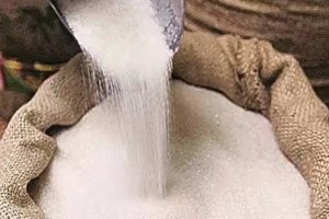 maharashtra sugar production, 108 lakh ton sugar production