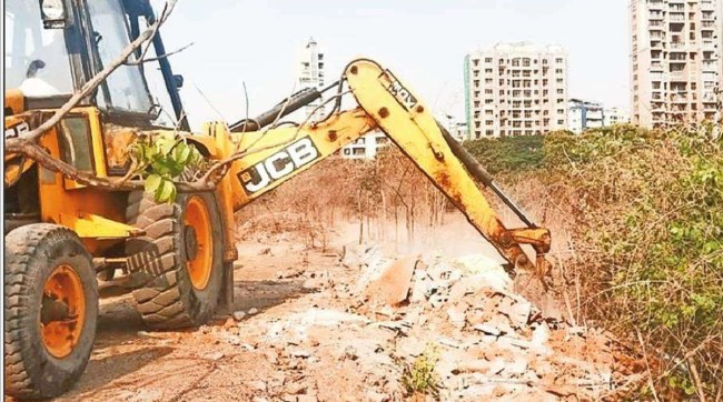 flamingo habitat navi mumbai, navi mumbai flamingo city