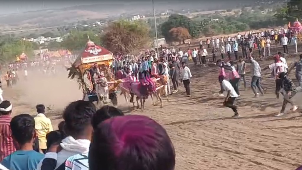 bullock cart youth death marathi news