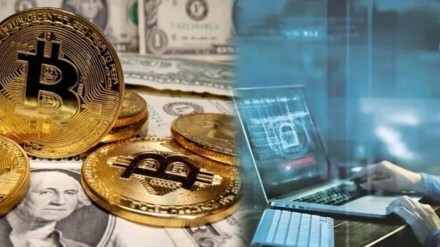 cryptocurrency fraud marathi news