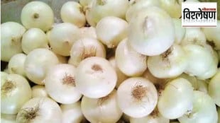 white onion alibag marathi news