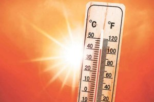 heatstroke, 5 cases, maharashtra heatstroke cases
