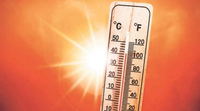 heatstroke, 5 cases, maharashtra heatstroke cases