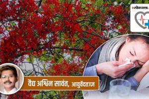 spring season marathi news, spring season health tips marathi