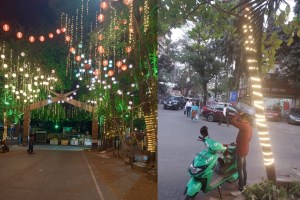 lighting on trees for decoration, lighting on trees thane marathi news