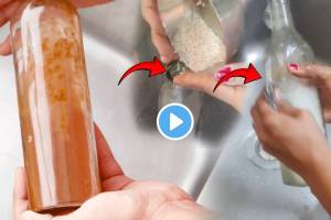 Video How To Clean Sticky Oil Bottle with Spoonful of Rice Remove Bad Smell and stickiness from plastic