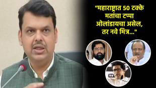 devendra fadnavis on mahayuti