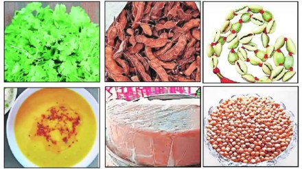 12 different products in maharastra received gi tags
