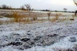 Damage to crops on 82 thousand hectares due to hailstorm