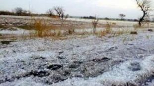 Damage to crops on 82 thousand hectares due to hailstorm