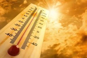 health of two election officials deteriorated due to heat wave In Nagpur