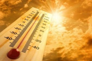 Bhandara District Swelters as Temperature Hits 43 Degrees Celsius Early in April